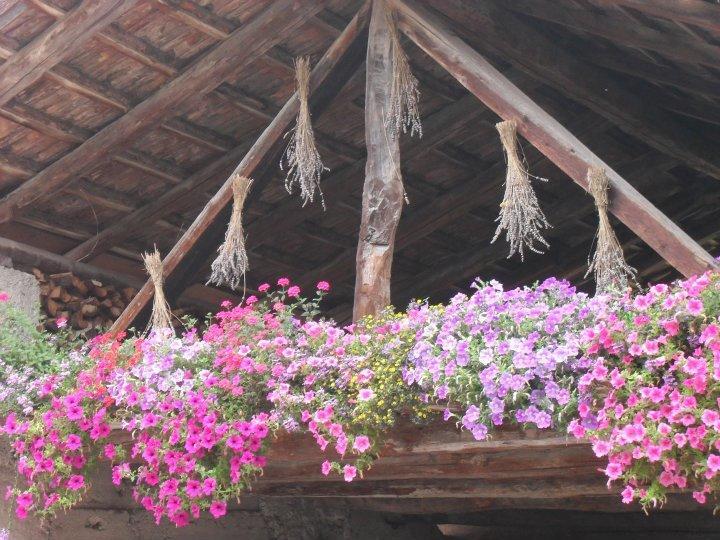 ترينتو B&B Casa Brunelli المظهر الخارجي الصورة